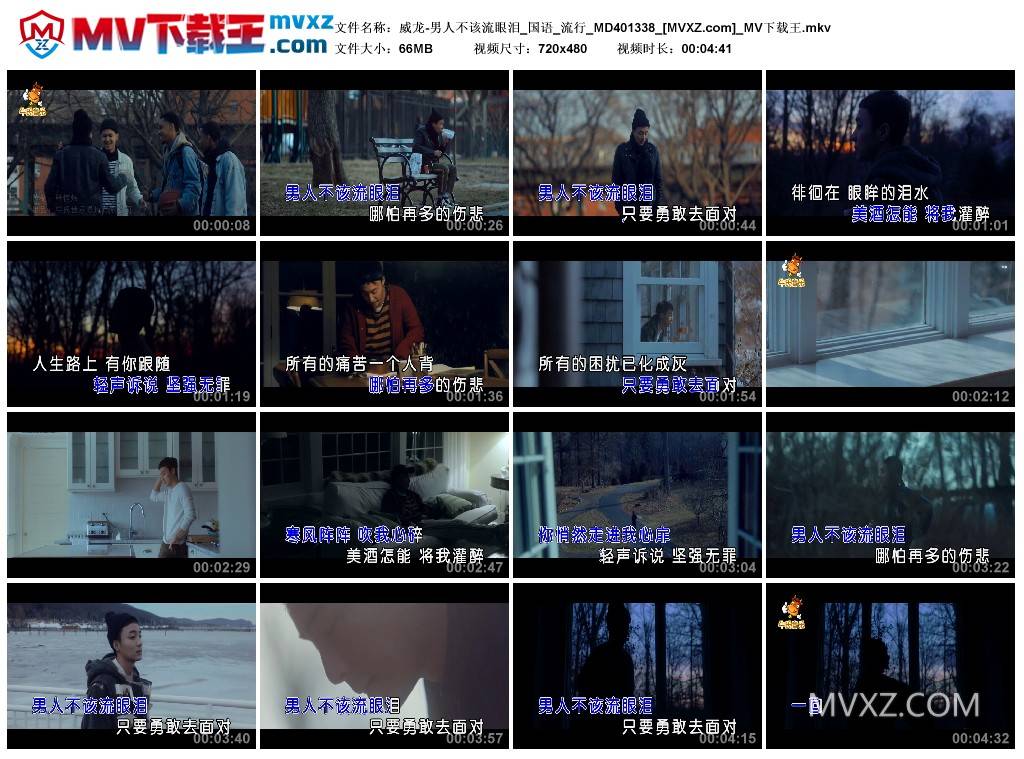 威龙-男人不该流眼泪_国语_流行_MD401338